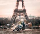 3 jours au Petit Oberkampf Hôtel & Spa ****